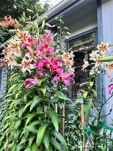 5307 State HWY 303 NE #120, Bremerton, WA 98311