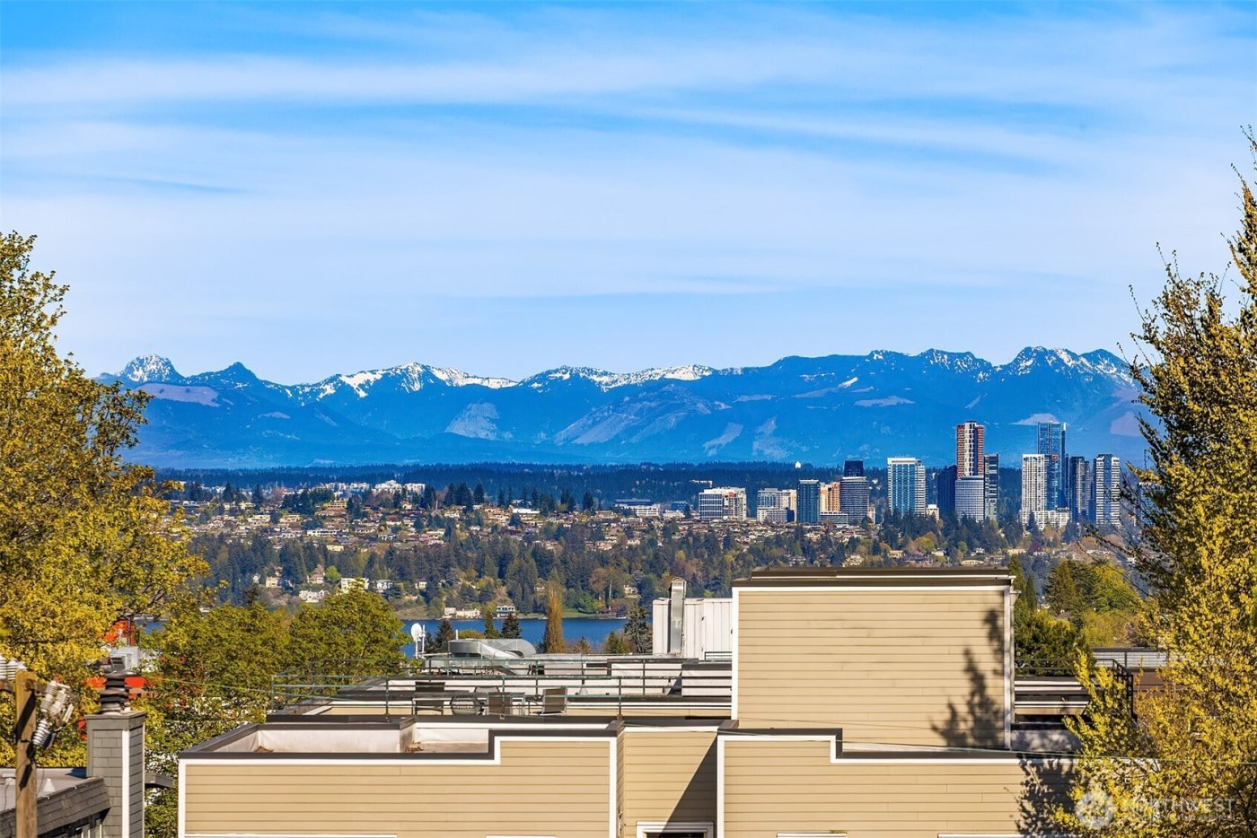 1715 17th Avenue , Seattle, WA 98122