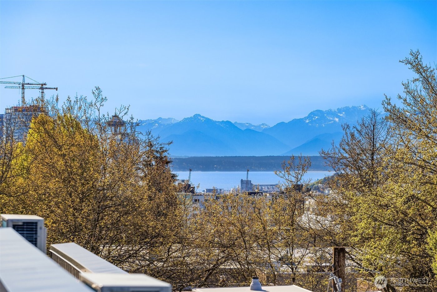 1715 17th Avenue , Seattle, WA 98122