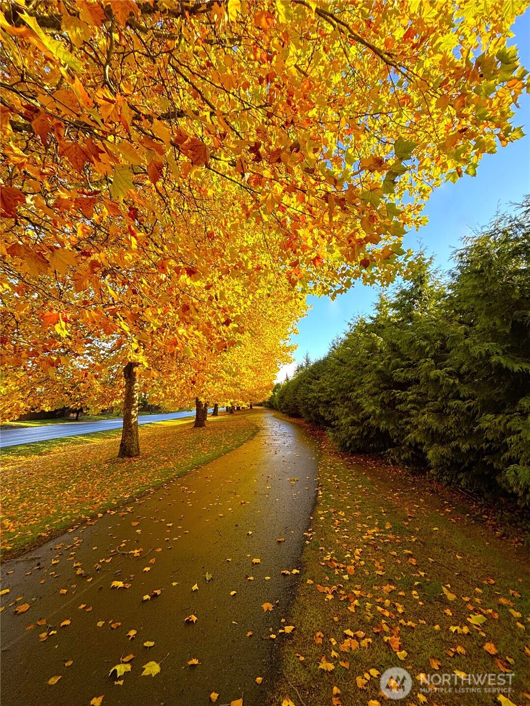 1306 Hansberry Avenue NE, Orting, WA 98360