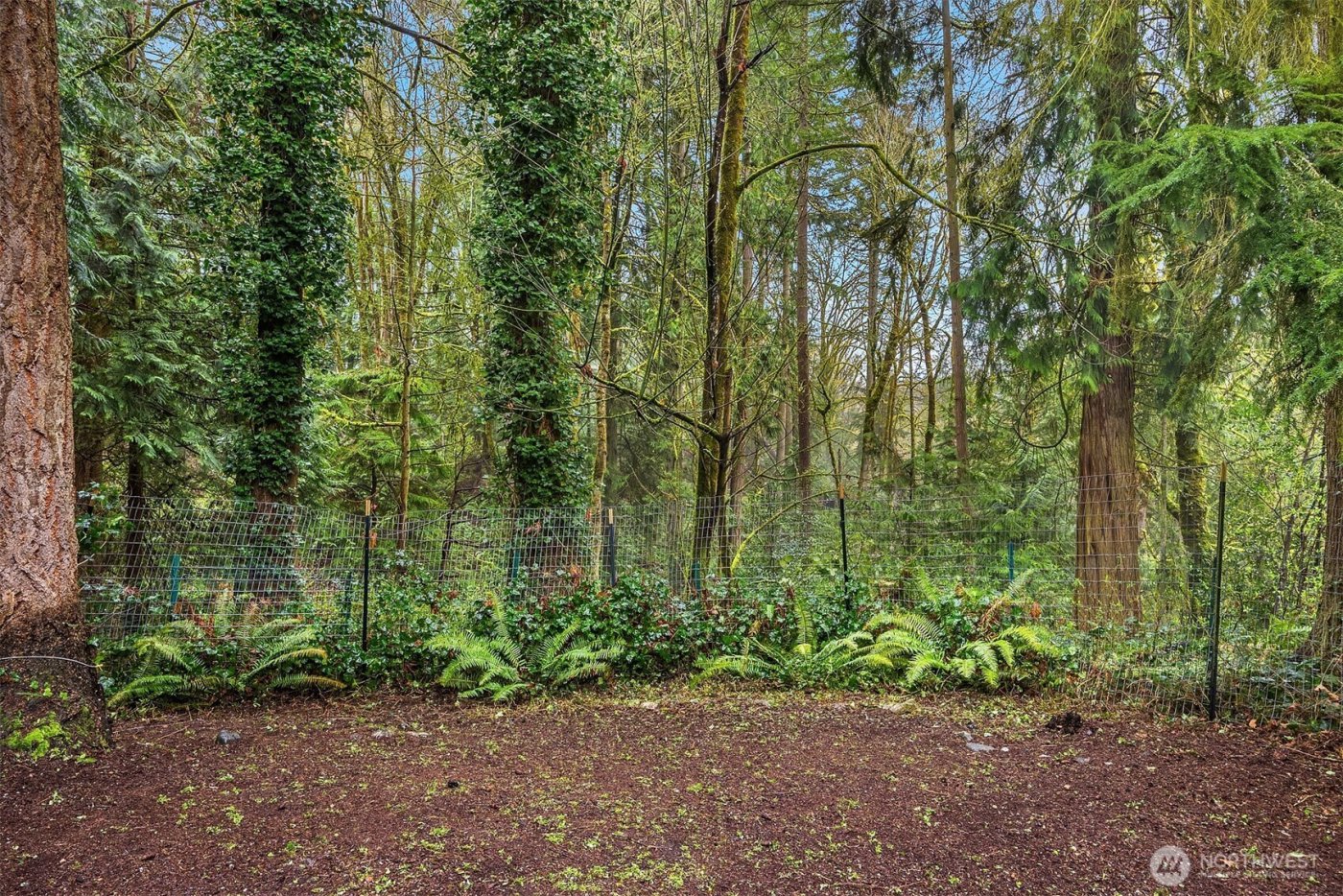 13812 NE 87th Street , Redmond, WA 98052