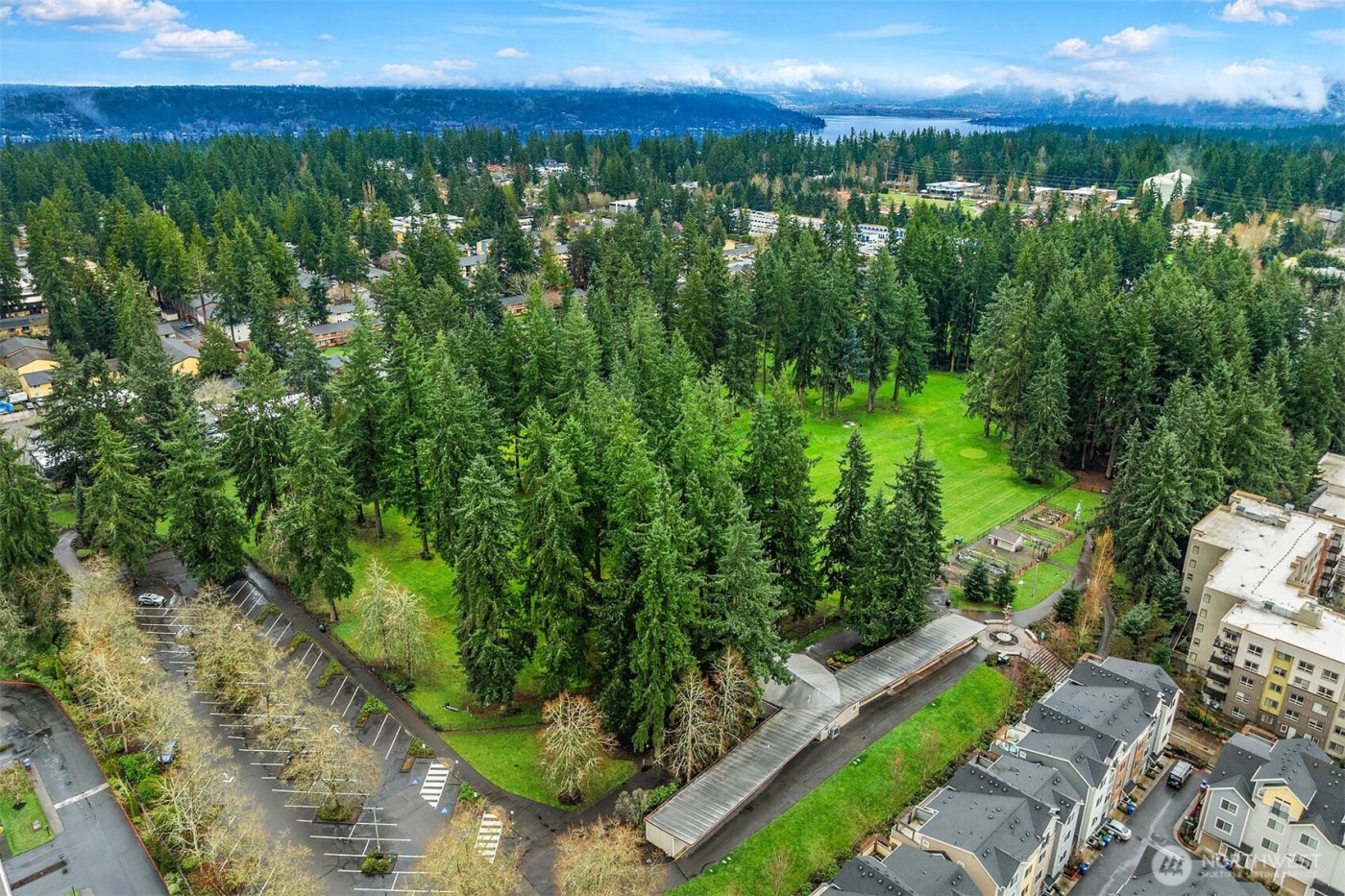 15711 NE 14th Alley , Bellevue, WA 98008