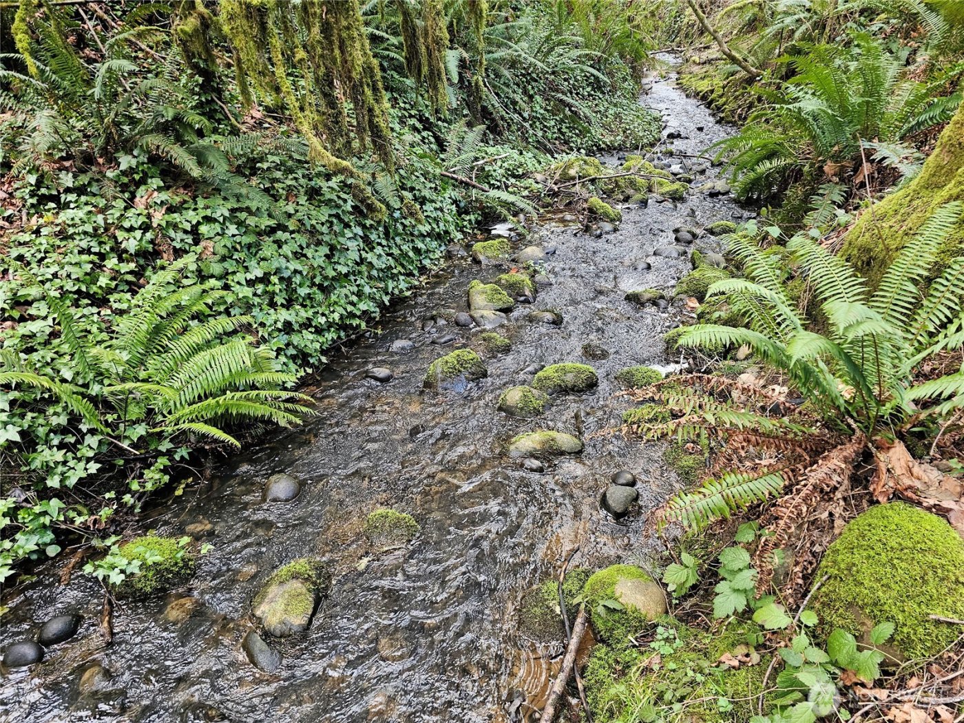 3017 Graf Road , Centralia, WA 98531