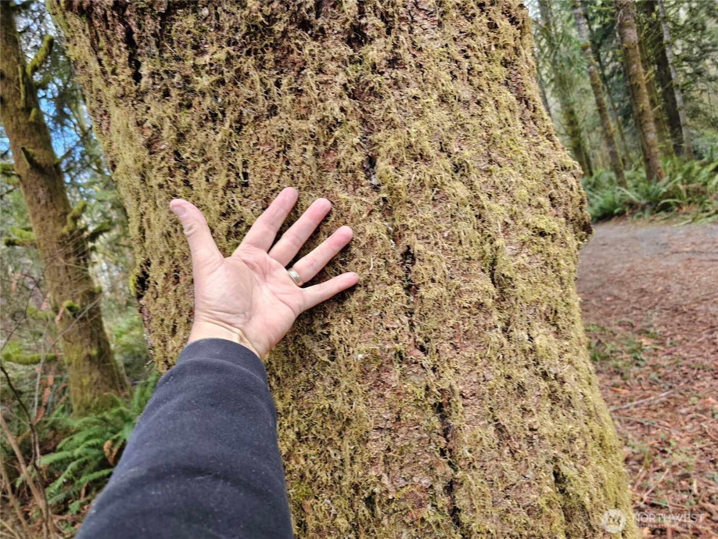 3017 Graf Road , Centralia, WA 98531