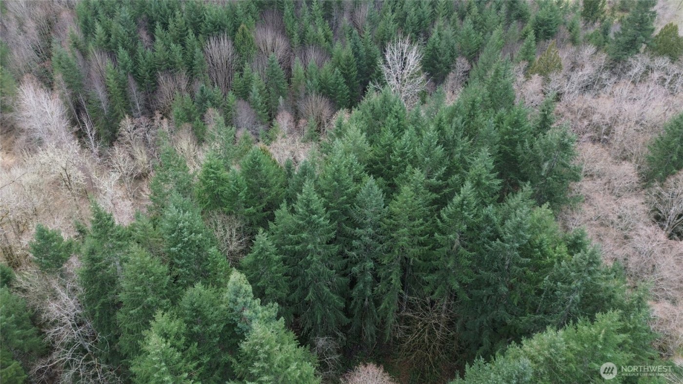 3017 Graf Road , Centralia, WA 98531