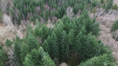 3017 Graf Road , Centralia, WA 98531 - Photo 21