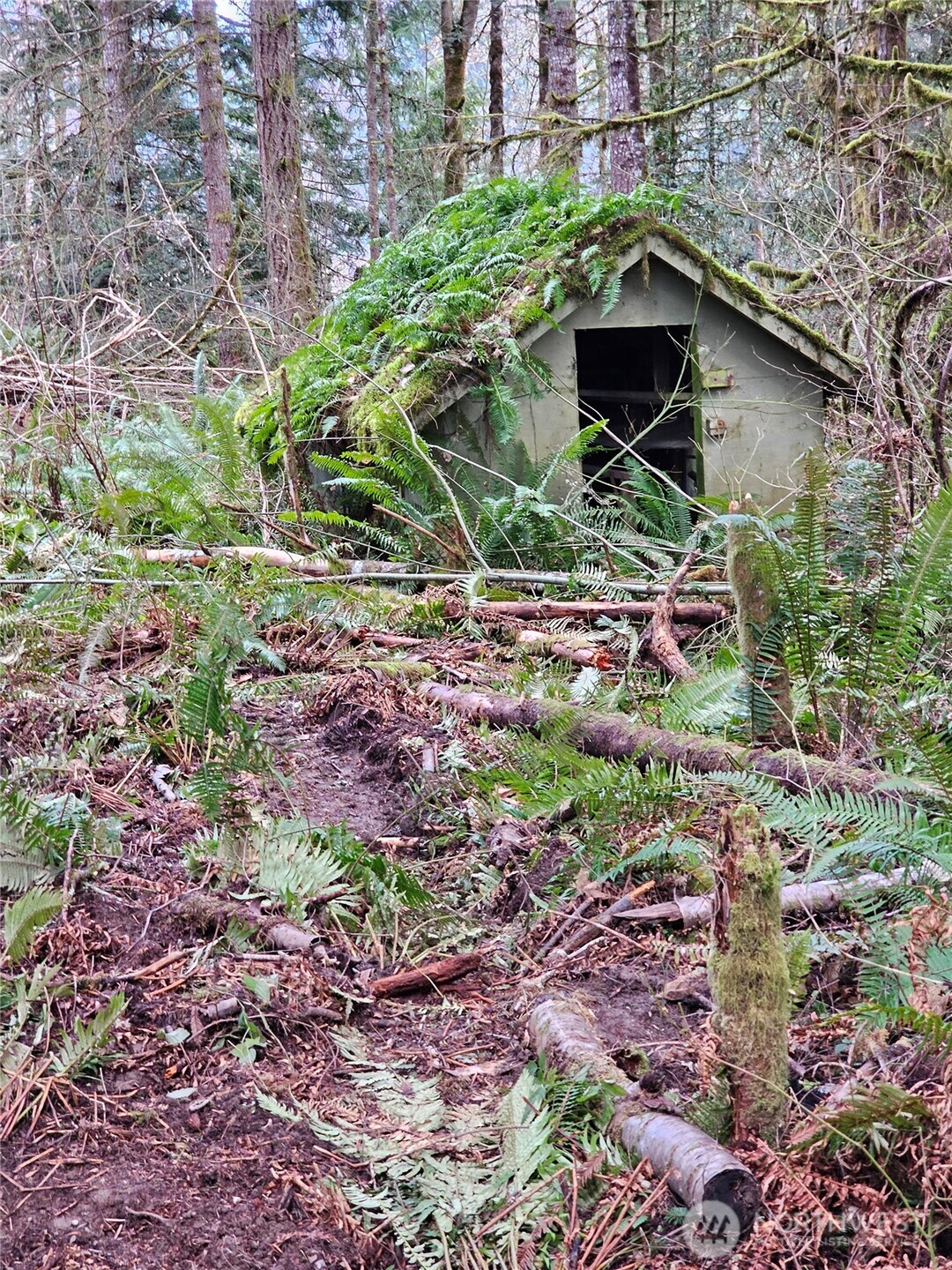 3017 Graf Road , Centralia, WA 98531