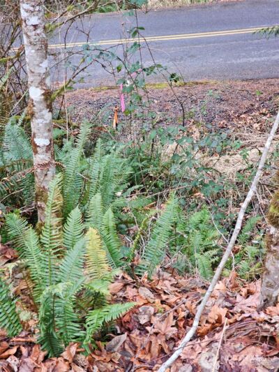 3017 Graf Road , Centralia, WA 98531 - Photo 23