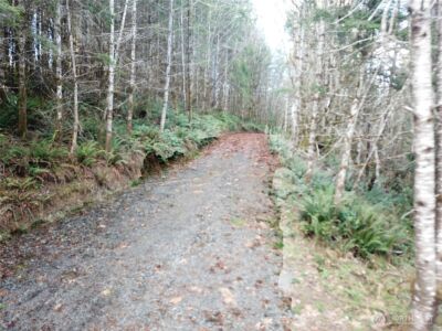 3017 Graf Road , Centralia, WA 98531 - Photo 24