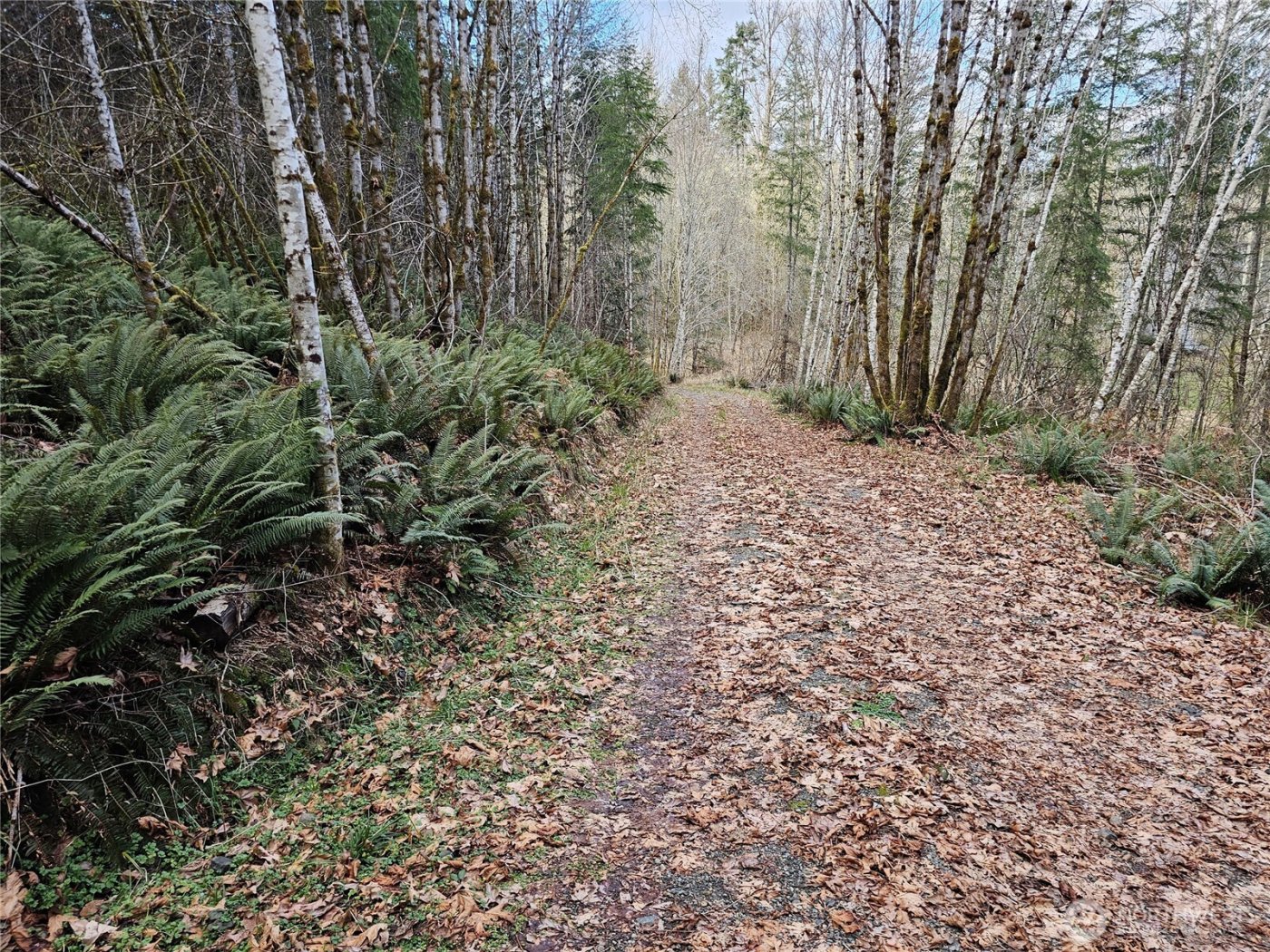 3017 Graf Road , Centralia, WA 98531