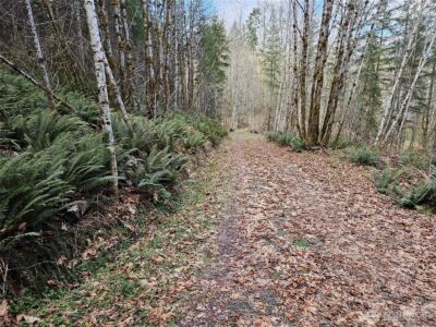 3017 Graf Road , Centralia, WA 98531 - Photo 27