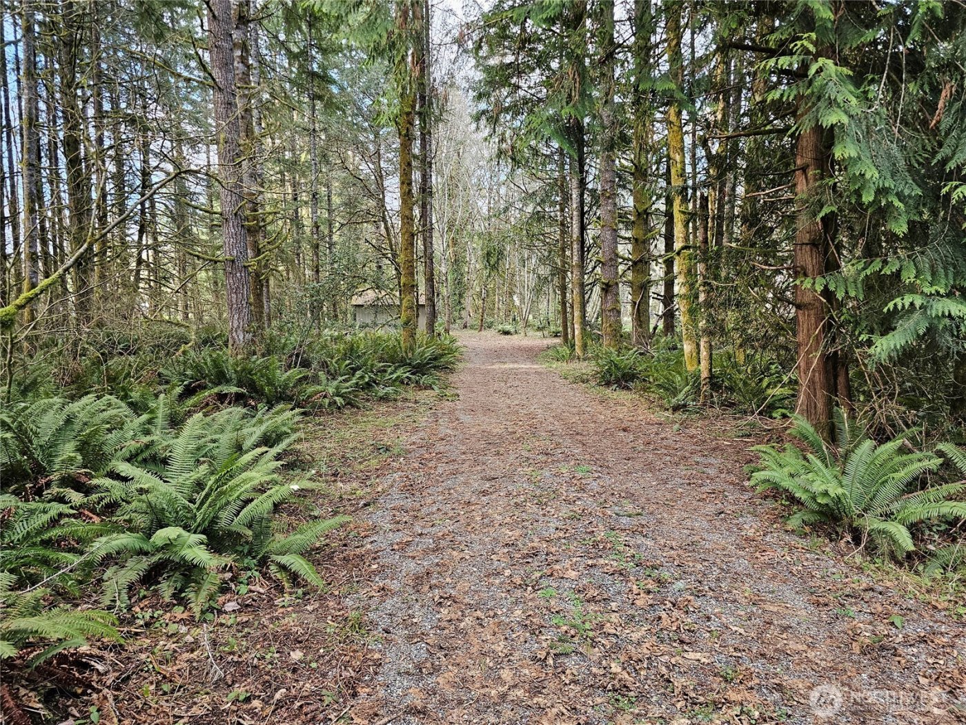 3017 Graf Road , Centralia, WA 98531