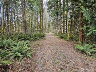 3017 Graf Road , Centralia, WA 98531 - Photo 29