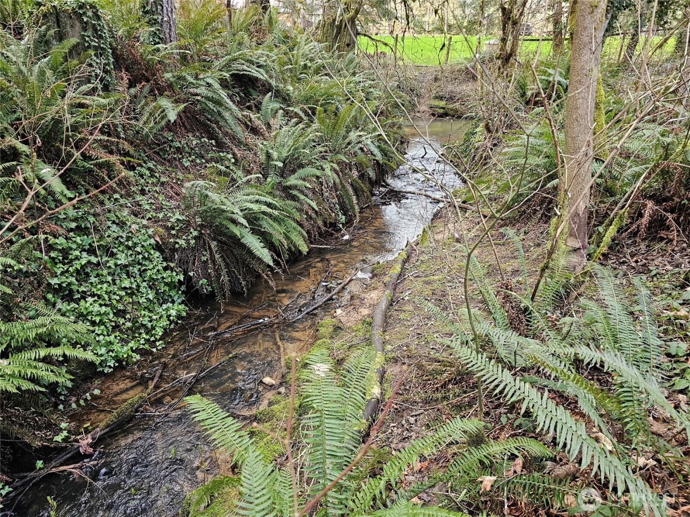 3017 Graf Road , Centralia, WA 98531