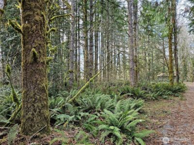 3017 Graf Road , Centralia, WA 98531 - Photo 37