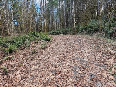 3017 Graf Road , Centralia, WA 98531 - Photo 38