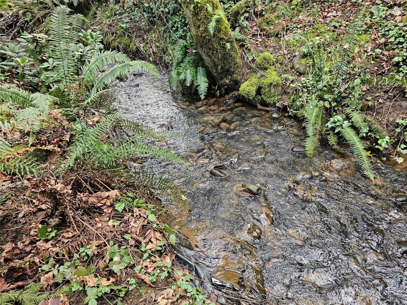 3017 Graf Road , Centralia, WA 98531