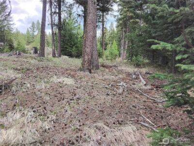 88 Cow Camp Road , Oroville, WA 98844 - Photo 27
