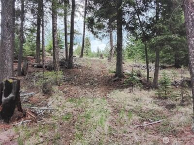 88 Cow Camp Road , Oroville, WA 98844 - Photo 30