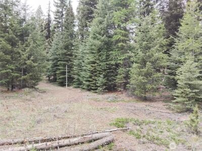 88 Cow Camp Road , Oroville, WA 98844 - Photo 31