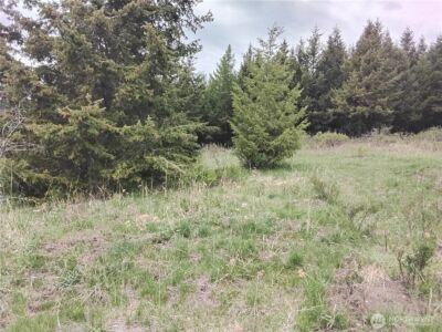 88 Cow Camp Road , Oroville, WA 98844 - Photo 32