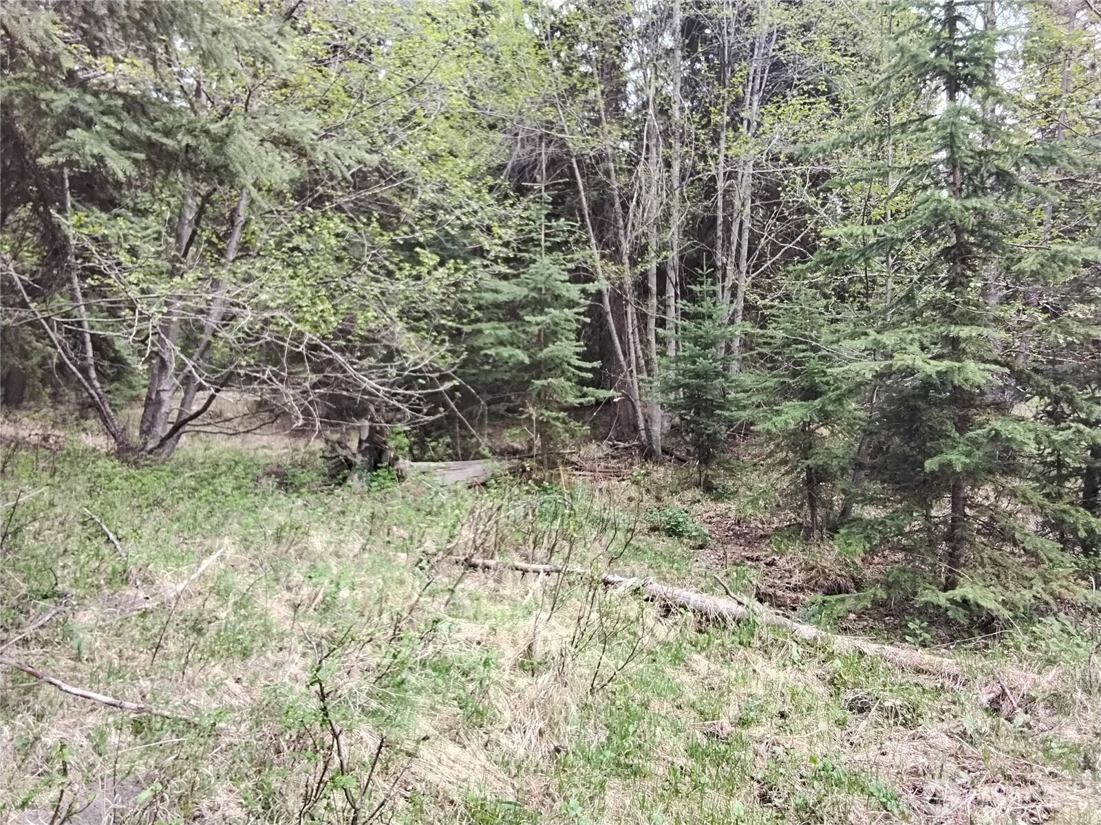 88 Cow Camp Road , Oroville, WA 98844