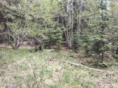 88 Cow Camp Road , Oroville, WA 98844 - Photo 34
