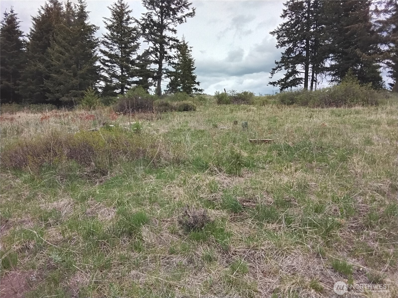 88 Cow Camp Road , Oroville, WA 98844
