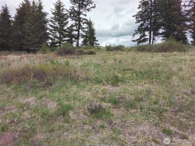 88 Cow Camp Road , Oroville, WA 98844 - Photo 35