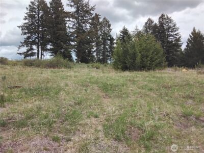 88 Cow Camp Road , Oroville, WA 98844 - Photo 38