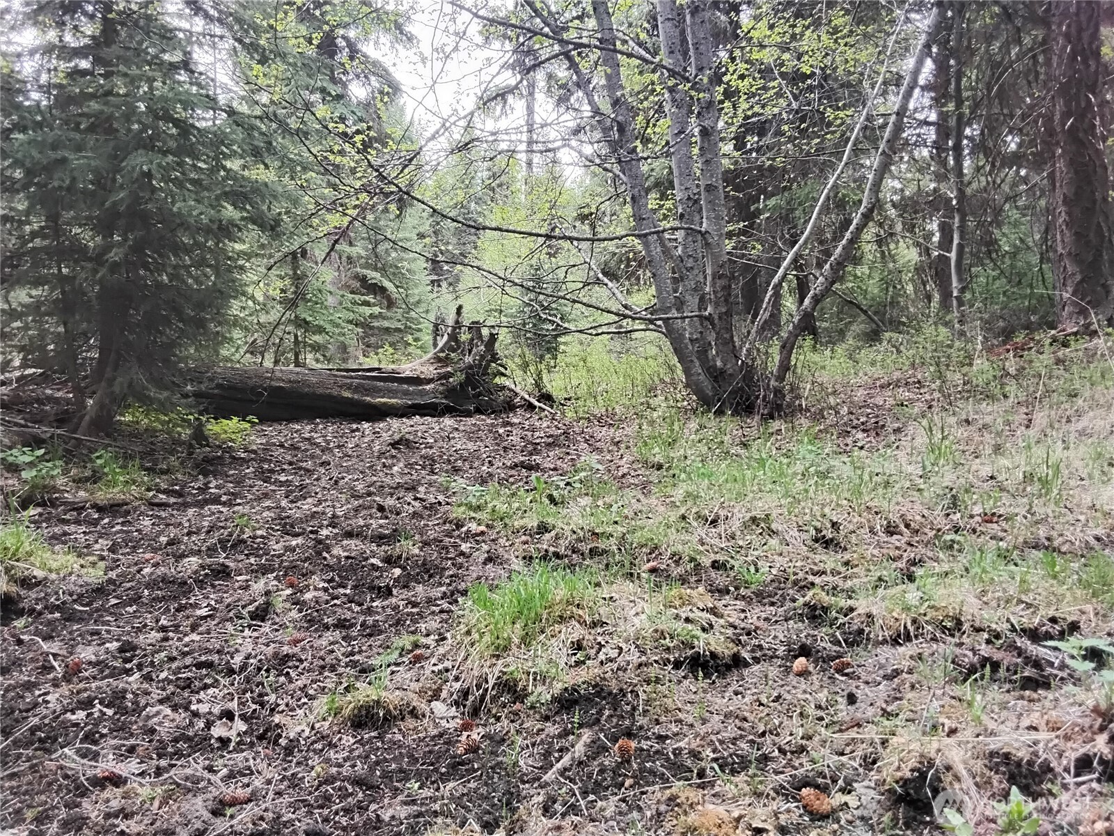 88 Cow Camp Road , Oroville, WA 98844