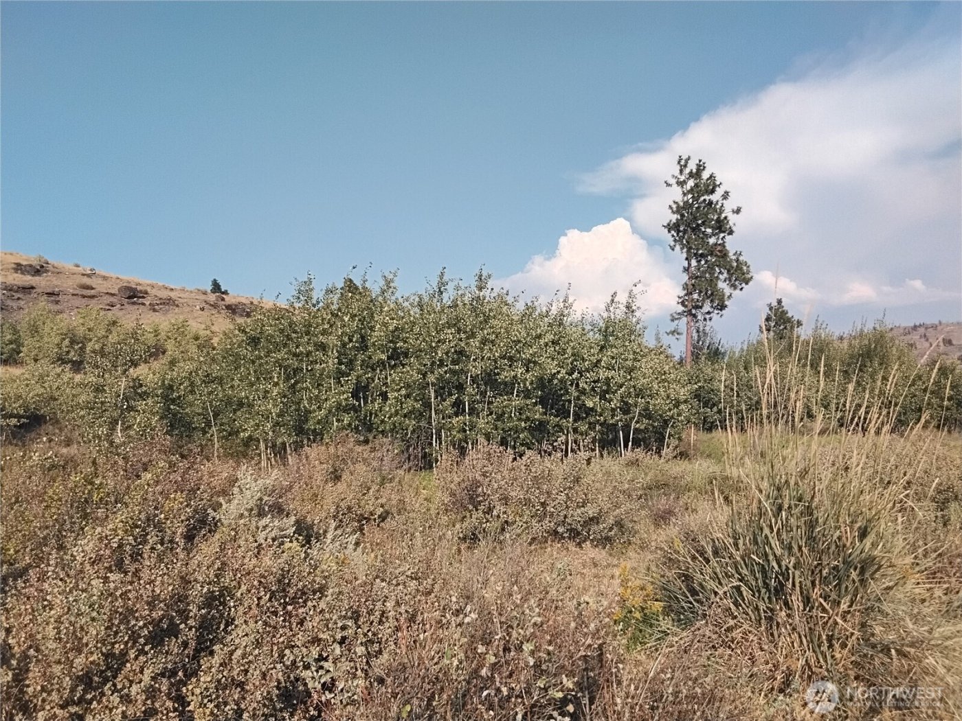 5 Painted Rock Road , Tonasket, WA 98855