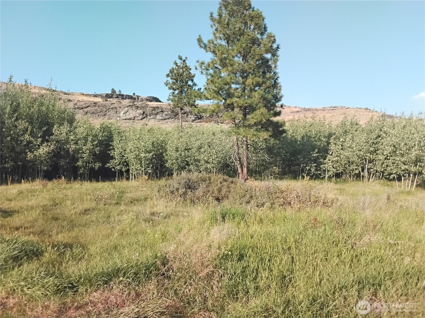 4 Painted Rock Road , Tonasket, WA 98855