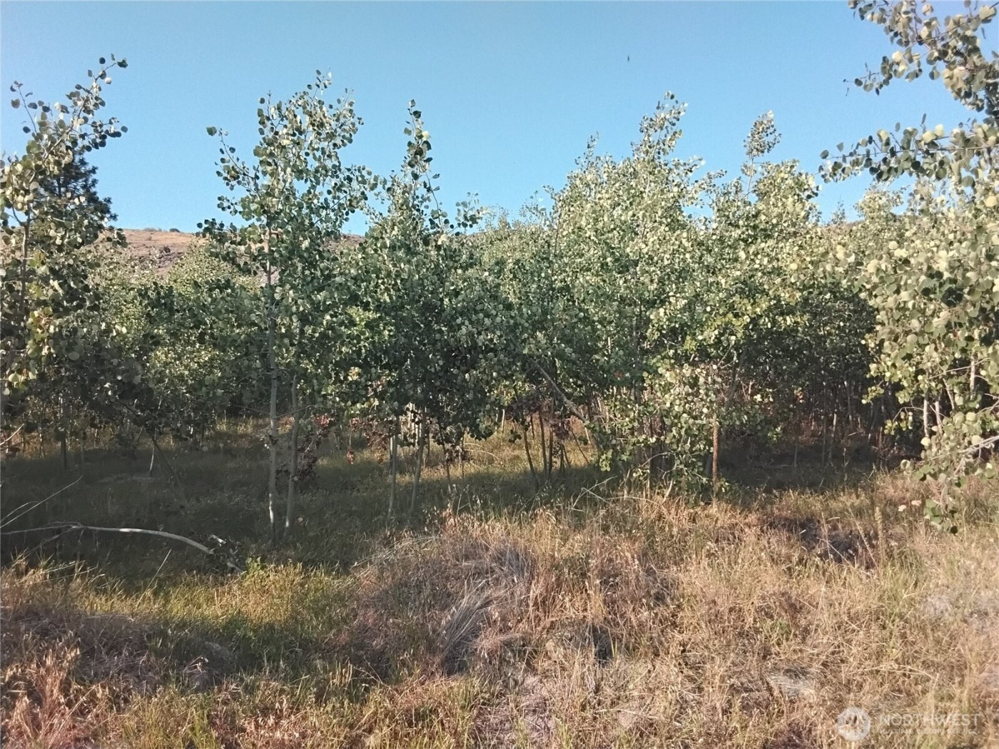 4 Painted Rock Road , Tonasket, WA 98855