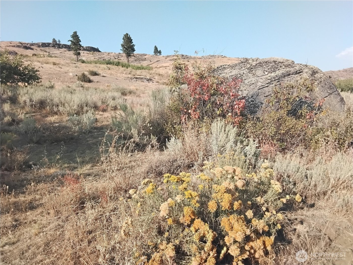 4 Painted Rock Road , Tonasket, WA 98855