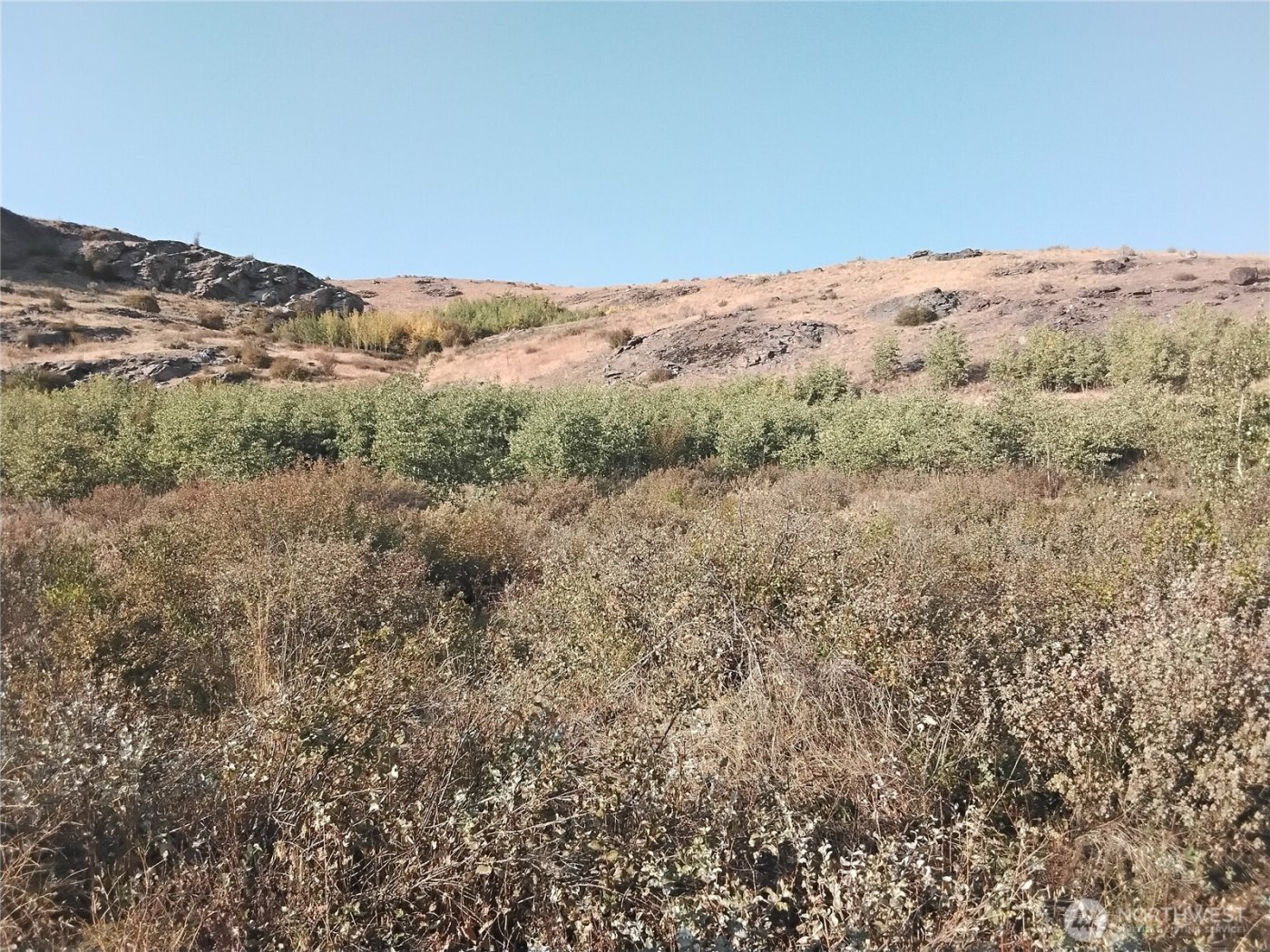 1 Painted Rock Road , Tonasket, WA 98855