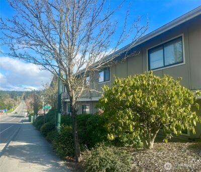 250 Tucker Avenue #36, San Juan Island, WA 98250 - Photo 10