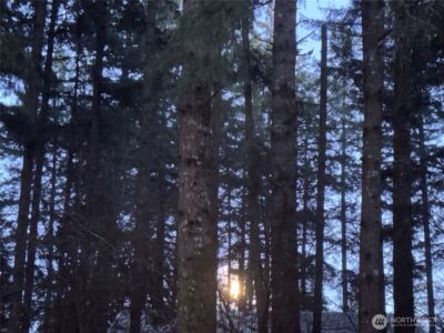 2103 46th Avenue NE, Olympia, WA 98506 - Photo 31