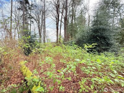 32 K Beach Way , Hat Island, WA 98206 - Photo 4