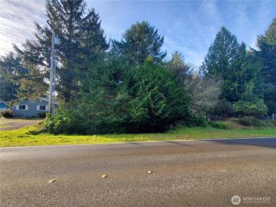 407 Mount Olympus Avenue SE, Ocean Shores, WA 98569