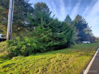 407 Mount Olympus Avenue SE, Ocean Shores, WA 98569 - Photo 3
