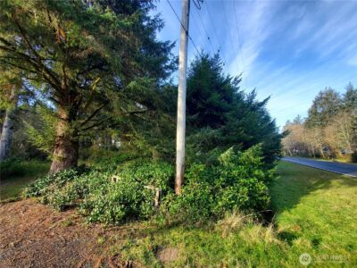 407 Mount Olympus Avenue SE, Ocean Shores, WA 98569 - Photo 4
