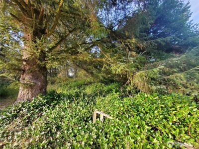 407 Mount Olympus Avenue SE, Ocean Shores, WA 98569 - Photo 5