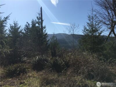 0 Summit Lake Road NW, Olympia, WA 98502 - Photo 23