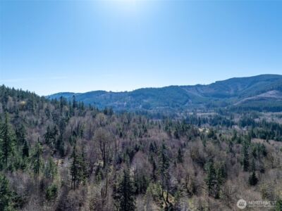 0 Summit Lake Road NW, Olympia, WA 98502 - Photo 12