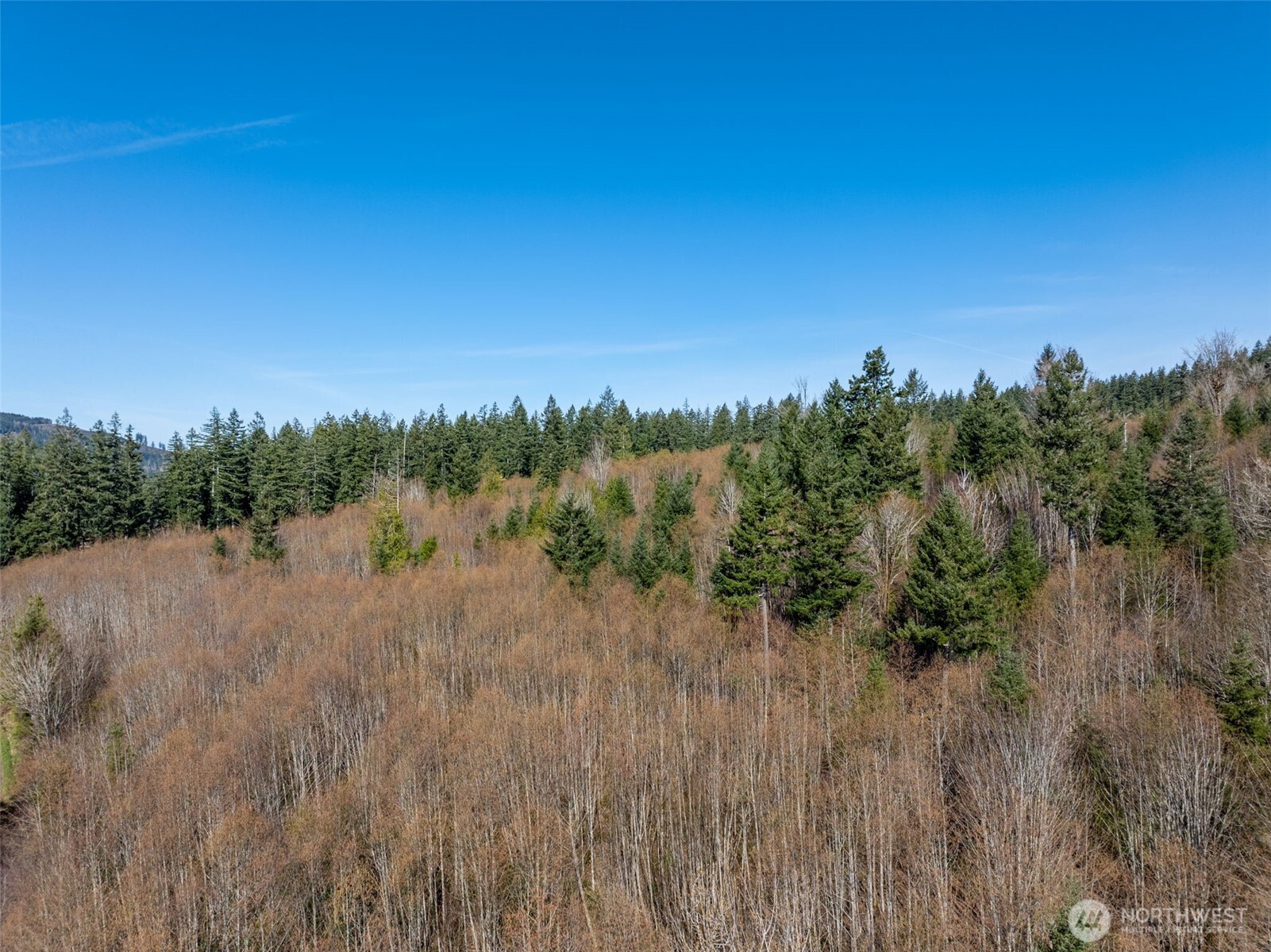 0 Summit Lake Road NW, Olympia, WA 98502