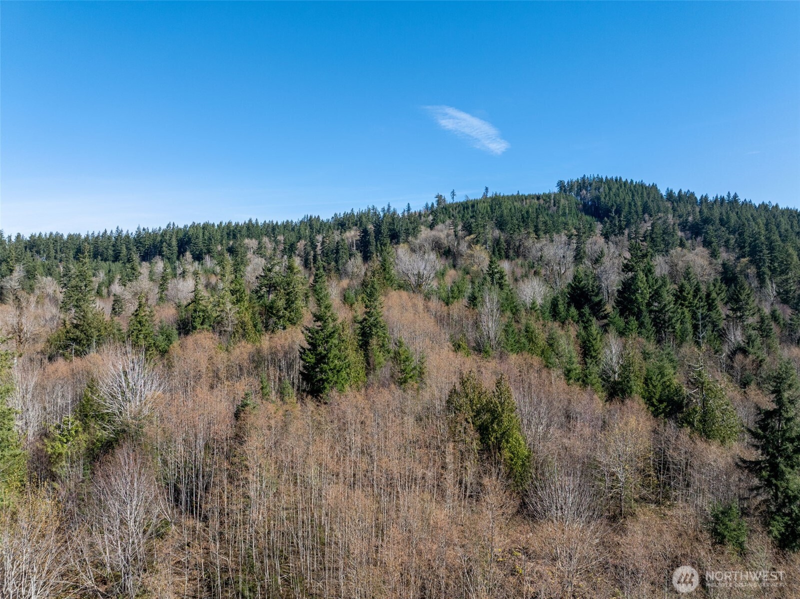 0 Summit Lake Road NW, Olympia, WA 98502