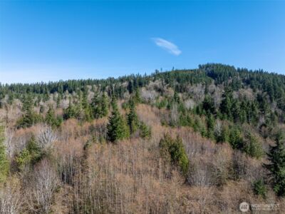 0 Summit Lake Road NW, Olympia, WA 98502 - Photo 14