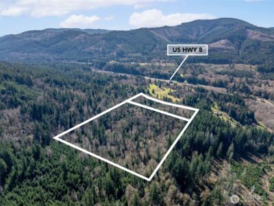 0 Summit Lake Road NW, Olympia, WA 98502 - Photo 3