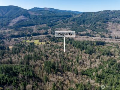 0 Summit Lake Road NW, Olympia, WA 98502 - Photo 7